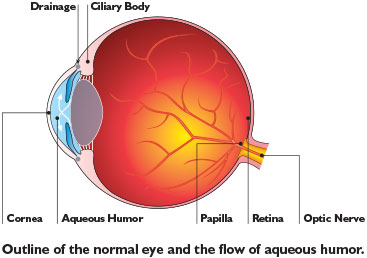 aqueous-humor