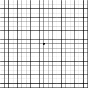 Amsler Chart to Test Your Sight  American Macular Degeneration Foundation